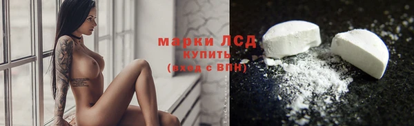 PSILOCYBIN Белокуриха