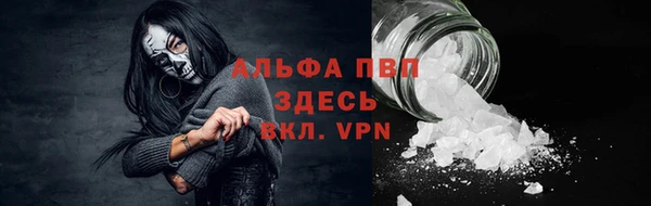 ALPHA PVP Беломорск