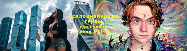 ALPHA PVP Беломорск