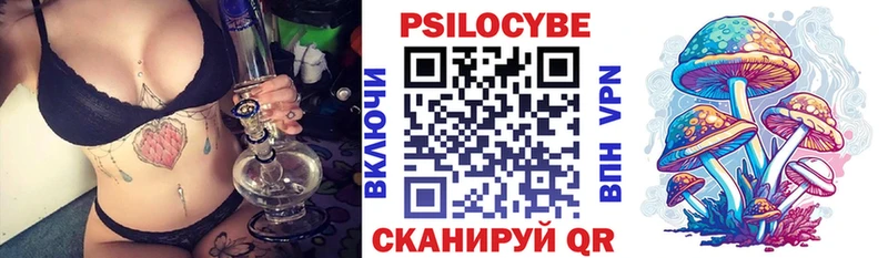 где найти   Гремячинск  MEGA ONION  Псилоцибиновые грибы Cubensis 